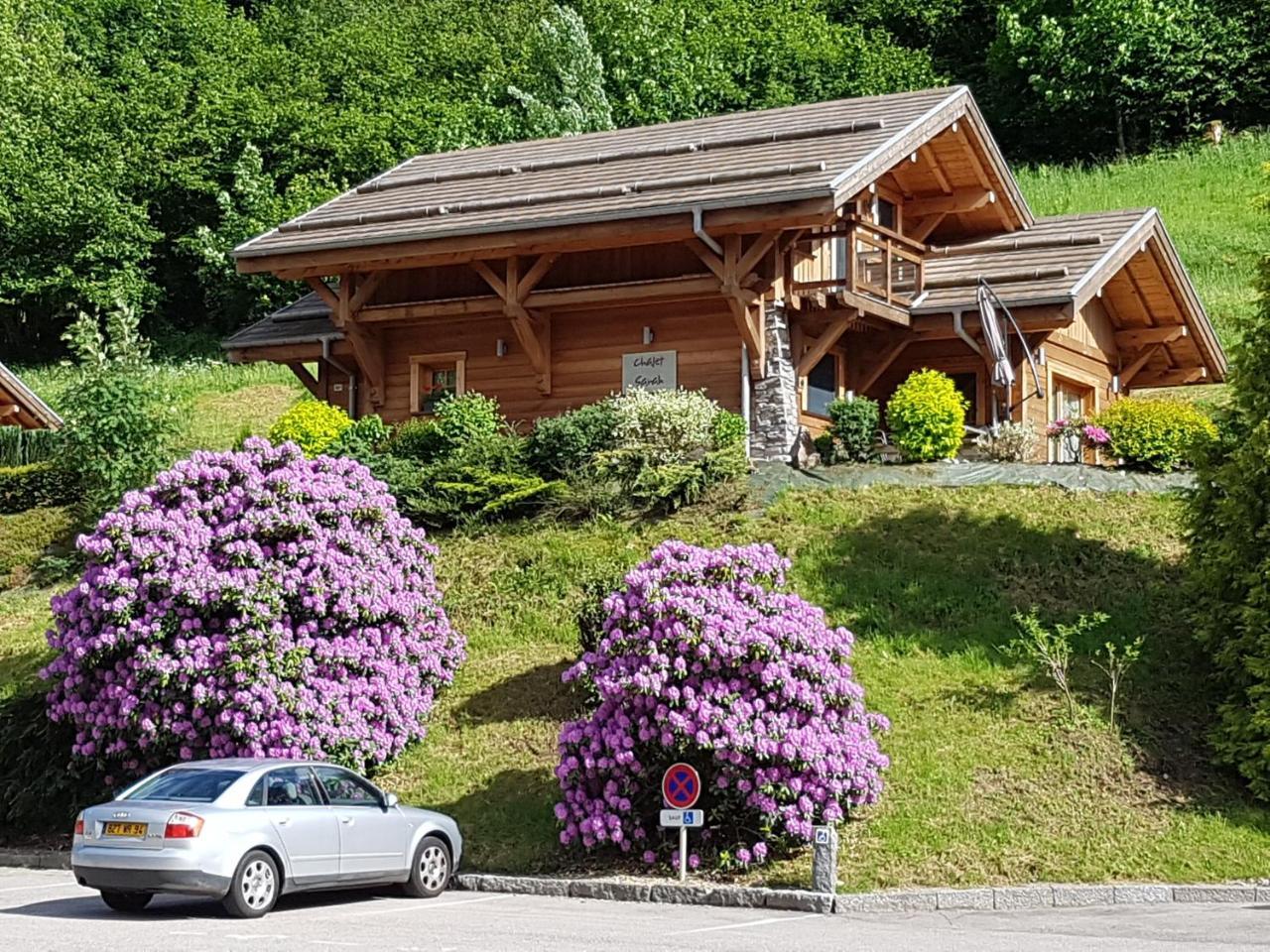 Les Chalets Des Chatelmines Ла-Бресс Екстер'єр фото